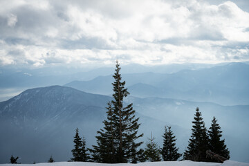 Snowy winter landscape with trees in foreground and mountains and foggy valley in background