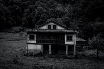 photography of beautiful landscapes in black and white