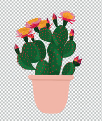  Illustration cactus en pot fleurs rose vert plante vecteur