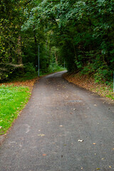 Asphalt road for sports in the autumn forest of the Czech Republic