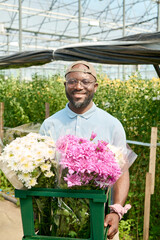 Vertical portrait of African American man holding box with flowers and smiling at camera enjoying work at flower plantation in sunlight