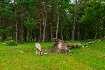 photographs of beautiful nature landscapes