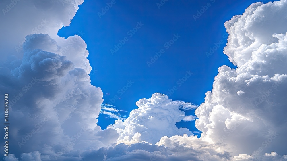 Wall mural fluffy white clouds form a soft frame around an open blue sky, creating a tranquil space for text or
