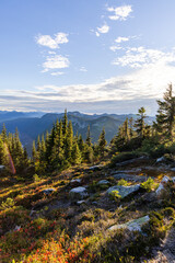 Scenic View of Lush Forested Mountain Landscape in Hope, BC, Canada During Golden Hour