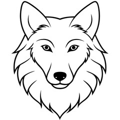 White Wolf Head with white background