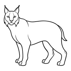 lynx silhouette on white background