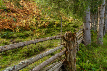 Blick über einen Holzzaun in eine herbstfarbige Landschaft