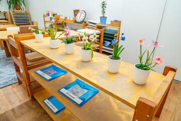 Montessori classroom with flowers and educational materials on shelves