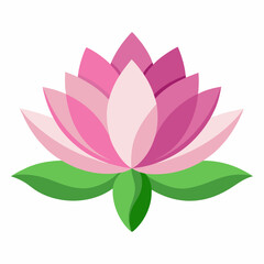 lotus flower isolated on white background