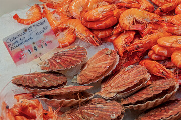 Cocquille St. Jacque and Crevettes with Price Tag