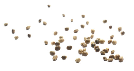 Hemp seeds scattered isolated on white background, side view