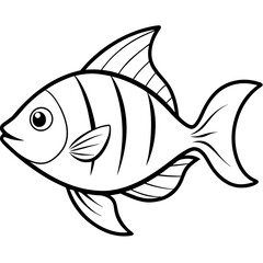 fish illustration
