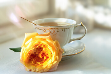 Cup of tea with orange and small pumpkins on white table, September.