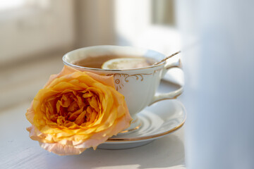 Cup of tea with orange and small pumpkins on white table, September.