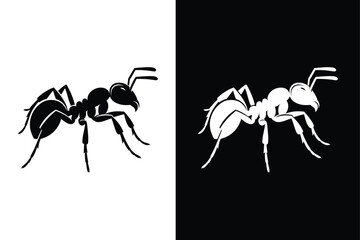 Ants silhouette illustration color Icon on White and black Vector Backgrounds.