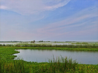 The Indus River. 
Pakistan's lifeline, harboring the ancient Indus Valley Civilization and nurturing diverse wildlife, flora, and vital migratory bird habitats along the Indus Flyway Zone.