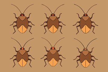 A set of Sting Bugs
