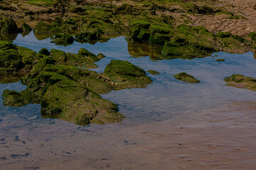 Capture the infinite beauty of the ocean with our seascape photographs, perfect for transforming any space with the serenity and majesty of the sea.