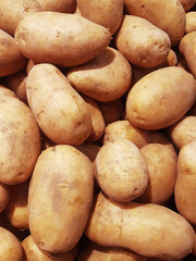 Background of raw natural unpeeled potatoes. Close up of bulk potatoes. Healthy and energetic eating. Fresh organic young potatoes sold on market. Raw vegetables pattern