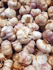 Fresh garlic in the market. Close up of raw natural garlic in bulk. Bunch of organic and ecological heads of garlic. Vegetables background. Sustainable and healthy food.