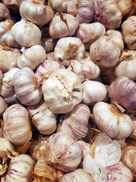 Fresh garlic in the market. Close up of raw natural garlic in bulk. Bunch of organic and ecological heads of garlic. Vegetables background. Sustainable and healthy food.