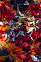 Multi-colored autumn background from different leaves and pumpkins. 