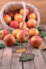 The red apples scattered onto the boards from the basket. 