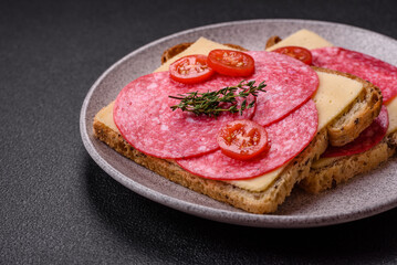 Sandwich with toast, salami slices, cheese and tomatoes, salt and spices