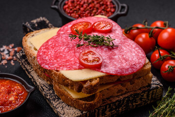 Sandwich with toast, salami slices, cheese and tomatoes, salt and spices