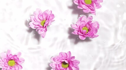 project video of delicate pink flowers falling softly on calm water creating the concept of serenity and harmony