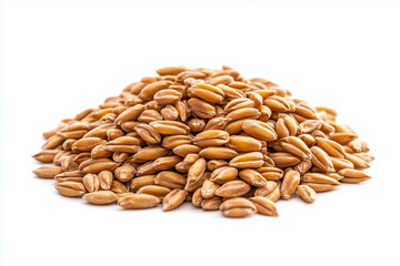 A close-up of a pile of spelt grain on a white background.