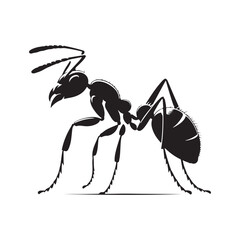 Creative and Unique Ant Vector Designs