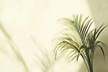 Sunlight casts delicate shadows of a lush tropical plant against a soft yellow wall, creating a serene indoor atmosphere