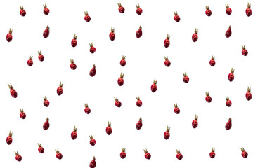 Pattern of dried rosehip berries on a white background. Cut out isolated. Natural Vitamins from Berries