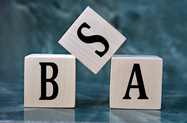 BSA - acronym on wooden cubes on blue background