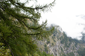 Obraz premium Stunning alpine Landscape at sautumn sunny day. Alpine meadow and road, mountains on background. Amazing nature Landscape.