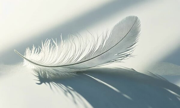 Minimalist close-up of a single feather lying on a smooth, white surface, with delicate shadows and subtle textures, symbolizing lightness and grace, . Video