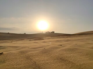 image of people standing on the sand dunes of Jaisalmer with the sun in the background
