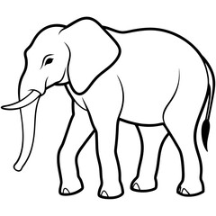 elephant line art vector illustration