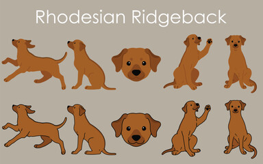 Simple and adorable illustration set of Rhodesian Ridgeback