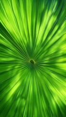 Obraz premium Vibrant green palm leaf close-up, natural fractal pattern, eco-friendly design motif