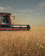 Fototapeta premium Harvesting combine in the wheat.