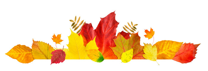 Autumn leaf frame. Banner of leaves and branches isolated on white background. Autumn illustration for greeting cards, wedding invitations, quote and decorations.