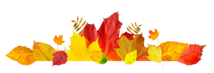 Autumn leaf frame. Banner of leaves and branches isolated on white background. Autumn illustration for greeting cards, wedding invitations, quote and decorations.