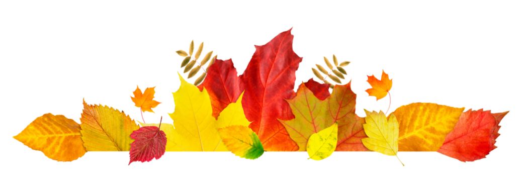 Autumn leaf frame. Banner of leaves and branches isolated on white background. Autumn illustration for greeting cards, wedding invitations, quote and decorations.