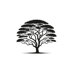 Acacia Tree silhouette