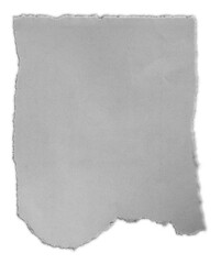 One piece of torn paper isolated on white background