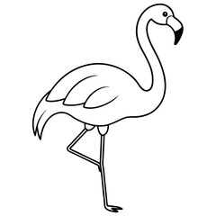 illustration of flamingo