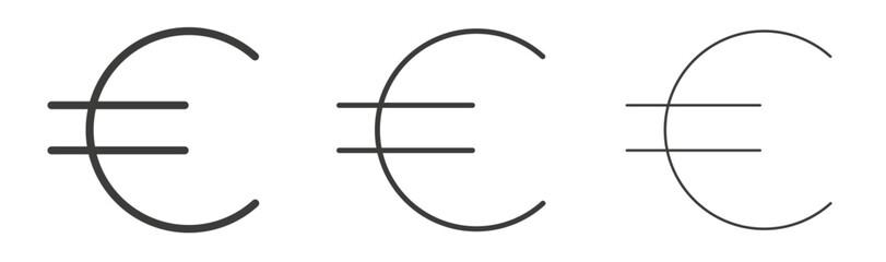 Euro liner icon vector set.