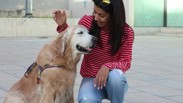 Golden retriever de 11 a&ntilde;os viaj&oacute; de Venezuela a Espa&ntilde;a y juega en el parque con su due&ntilde;a, Alcoy